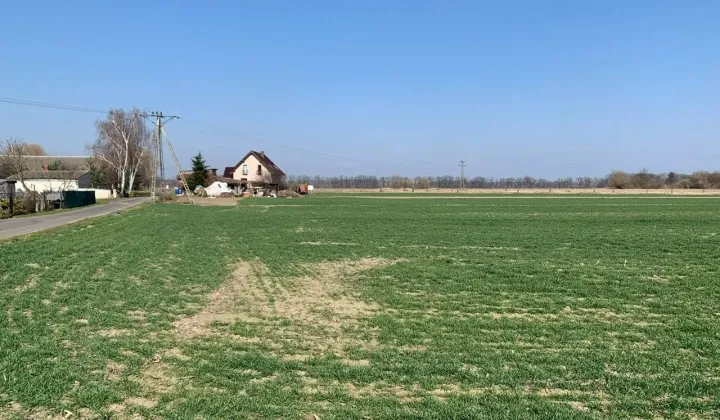 Działka budowlana Grądzik