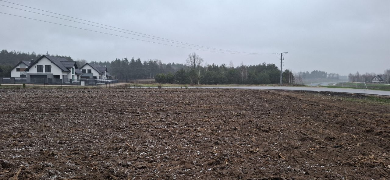 Działka inna Krynice. Zdjęcie 3