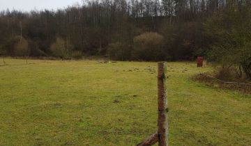 Działka siedliskowa Zwola