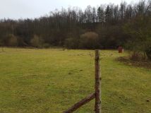 Działka siedliskowa Zwola. Zdjęcie 1