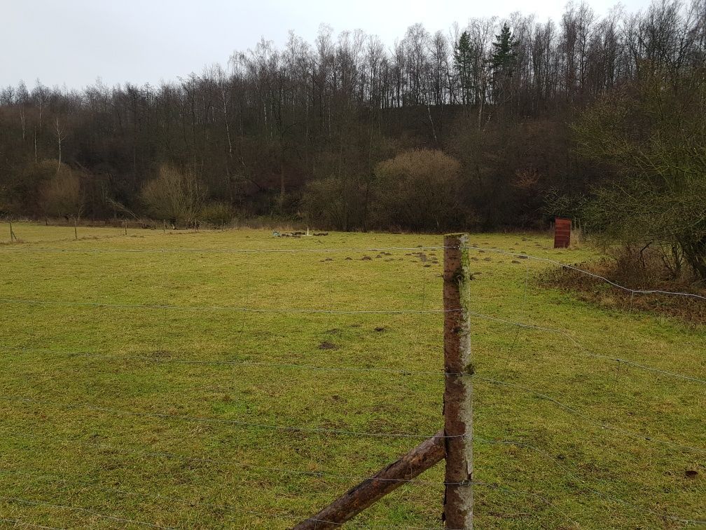 Działka siedliskowa Zwola. Zdjęcie 2