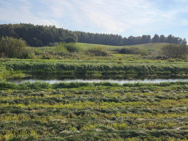 Działka rolno-budowlana Langanki. Zdjęcie 1