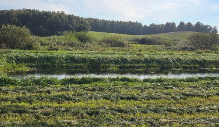 Działka rolno-budowlana Langanki