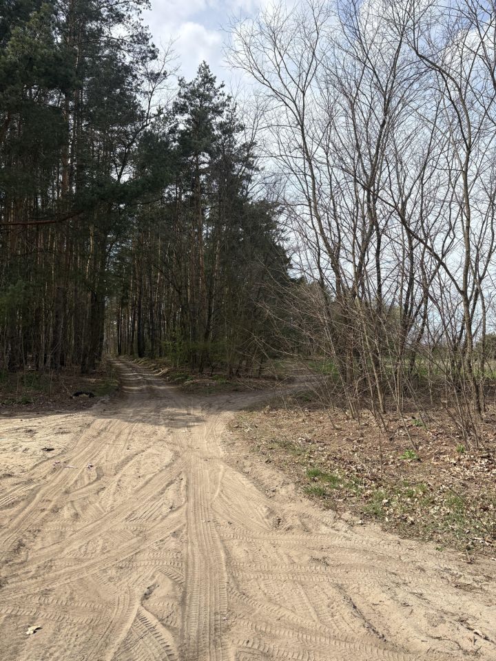 Działka rolno-budowlana Nowe Ręczaje. Zdjęcie 3