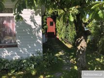 Działka rod Piotrków Trybunalski, ul. Gęsia. Zdjęcie 3