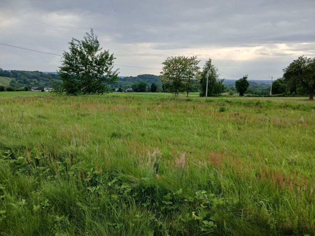 Działka budowlana Bieliny. Zdjęcie 5