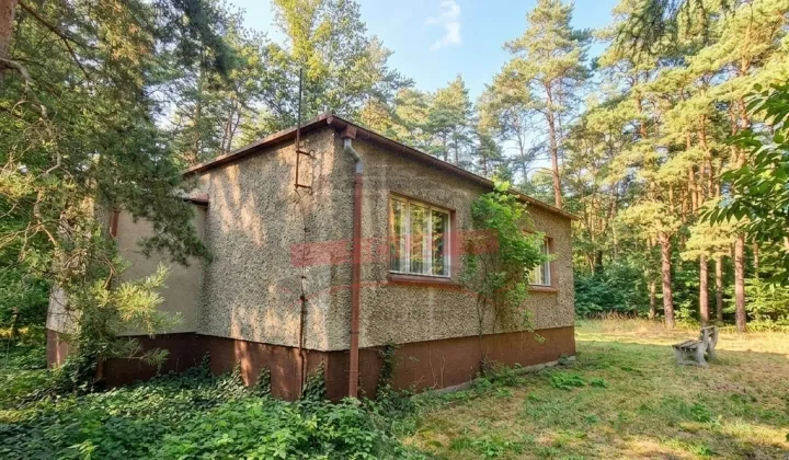 dom wolnostojący, 3 pokoje Staniszcze Małe