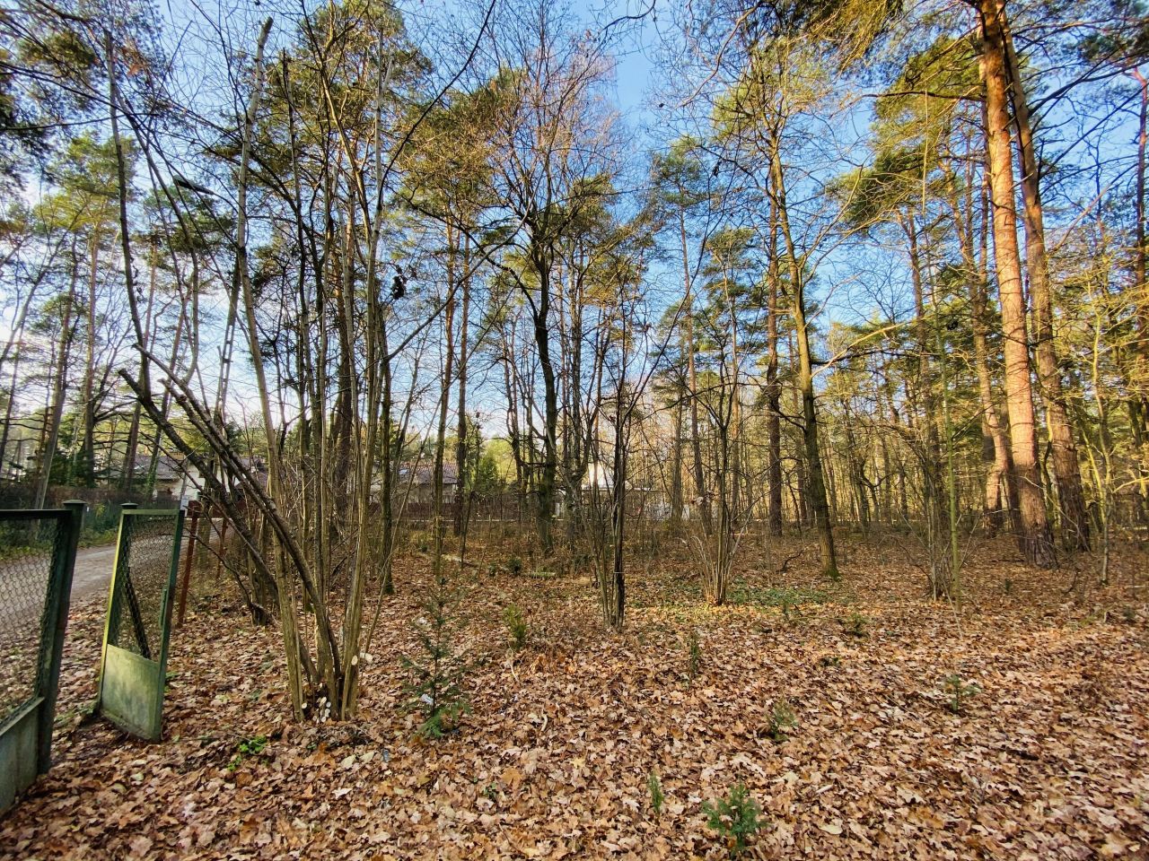 Działka budowlana Zalesie Górne, ul. Jasna