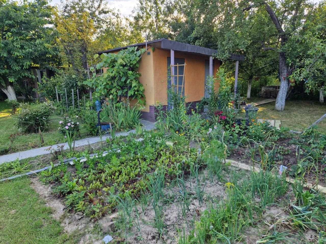 Działka rod Dzierżoniów. Zdjęcie 4