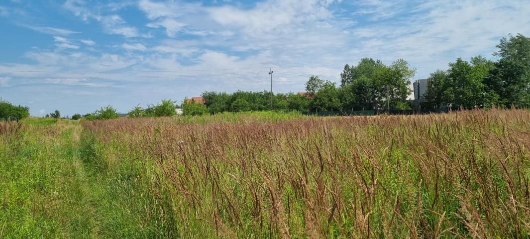 Działka budowlana Michałowice-Wieś. Zdjęcie 2