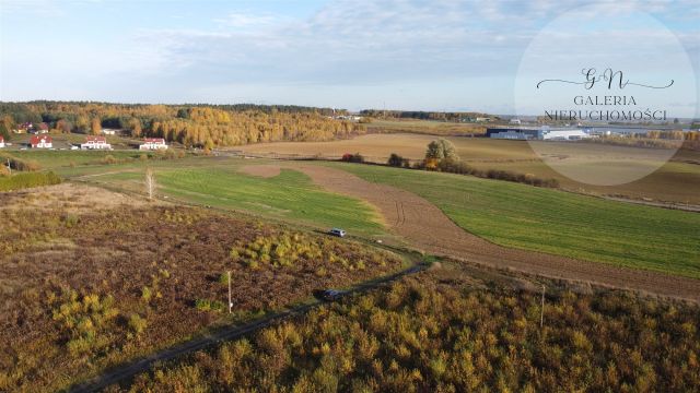 Działka Tomaszkowo. Zdjęcie 3