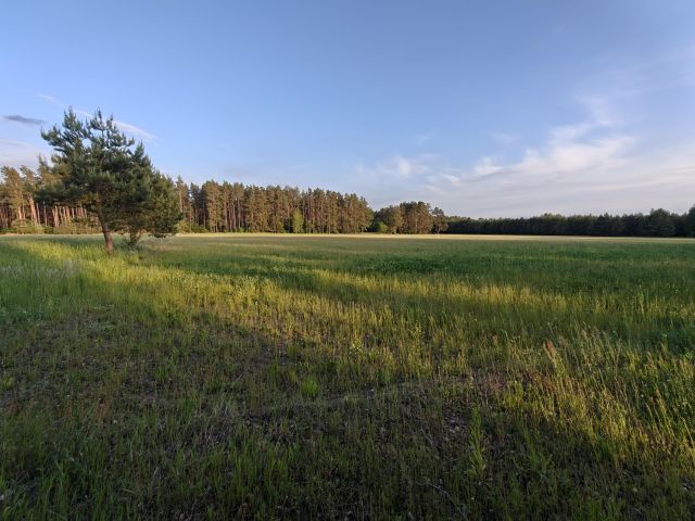 Działka rolna Faryny, Faryny. Zdjęcie 3