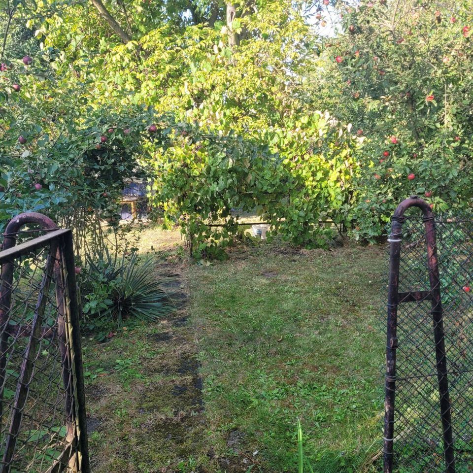 Działka rod Gliwice Stare Gliwice. Zdjęcie 8
