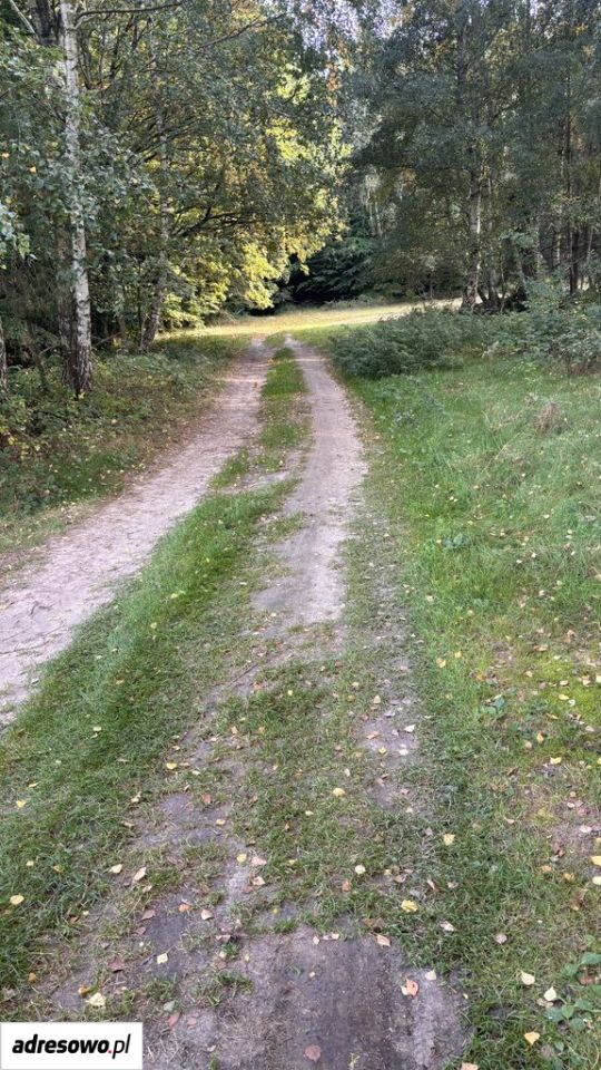 Działka budowlana Sierosław. Zdjęcie 8