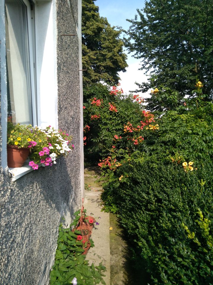 dom wolnostojący, 5 pokoi Janówka. Zdjęcie 22