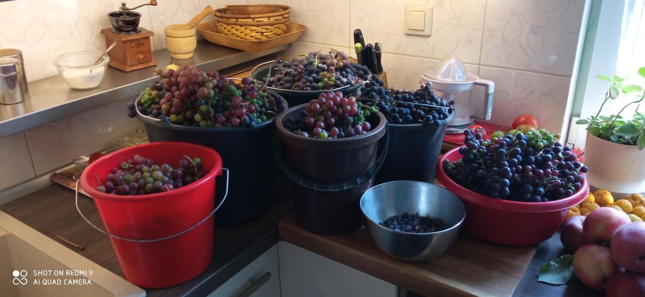 dom wolnostojący, 4 pokoje Joniec-Kolonia. Zdjęcie 5