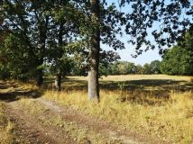 Działka budowlana Rzędziny. Zdjęcie 1