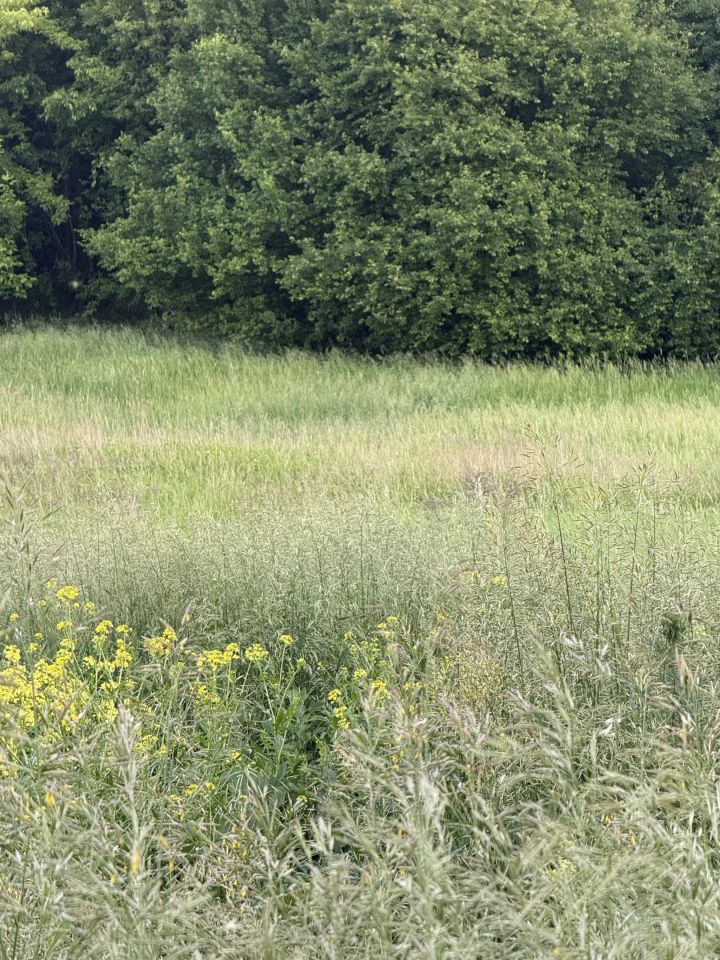 Działka rekreacyjna Łódź Górna, Bieszczadzka. Zdjęcie 3