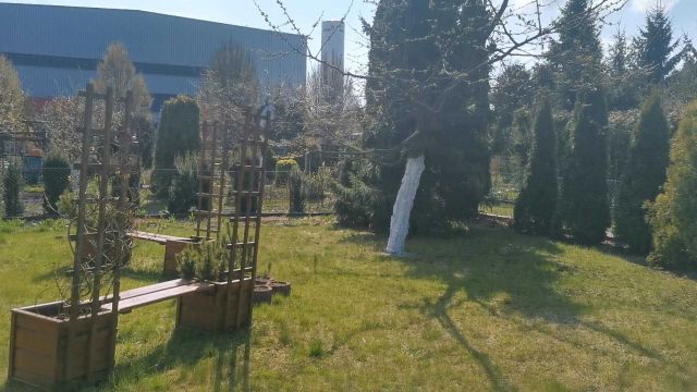 Działka rod Grudziądz. Zdjęcie 1