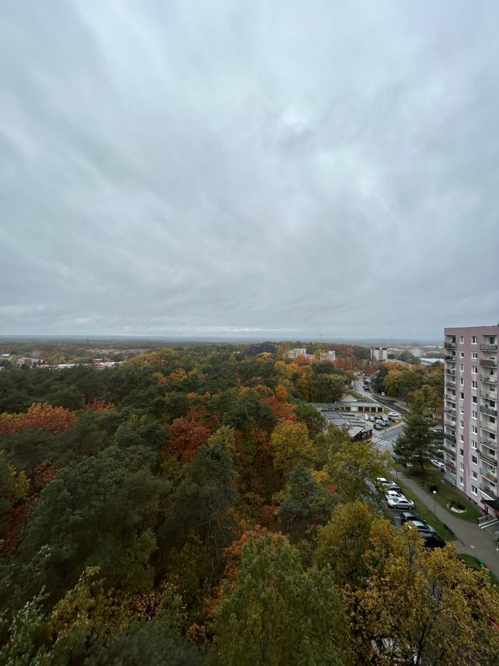 Mieszkanie 2-pokojowe Zielona Góra Przyjaźń, ul. Francuska. Zdjęcie 8