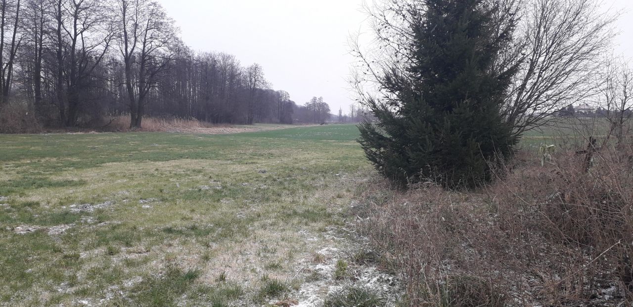 Działka siedliskowa Miastkowo, ul. Kurpiowska. Zdjęcie 2