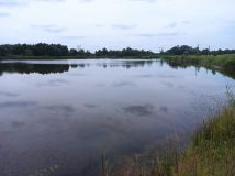 Działka inwestycyjna Nowa Grobla Hamernia. Zdjęcie 1