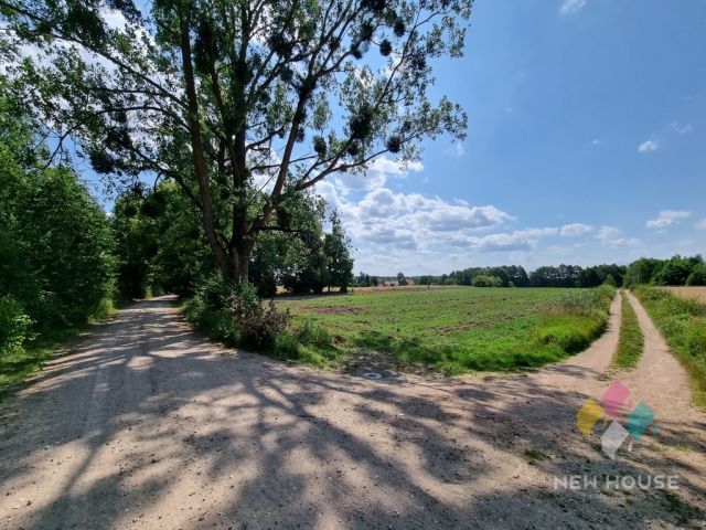 Działka siedliskowa Gil Mały. Zdjęcie 6