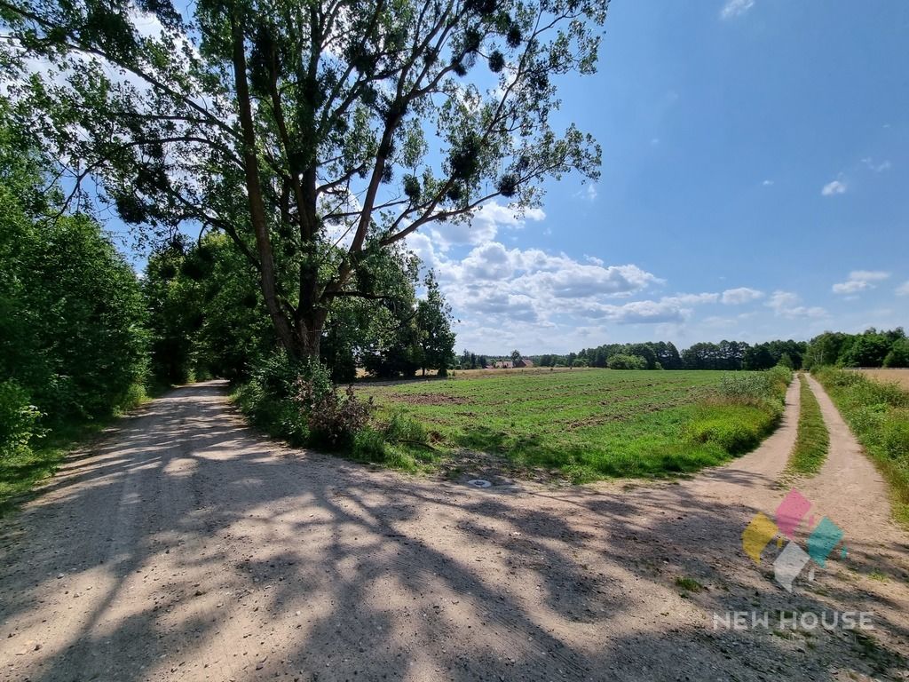 Działka siedliskowa Gil Mały. Zdjęcie 6