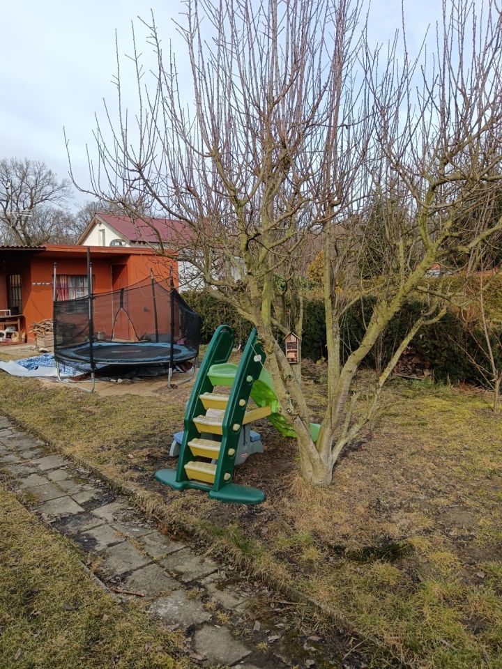 Działka rod Opalenica. Zdjęcie 4