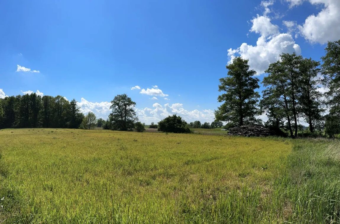 Działka budowlana Gorzów Śląski, Gorzów Śląski. Zdjęcie 4