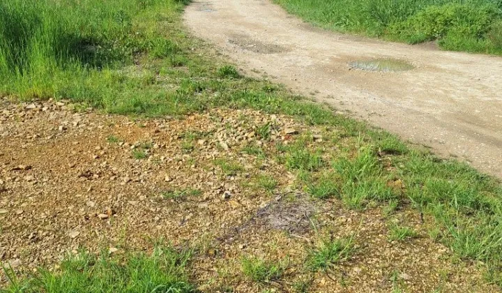 Działka budowlana Miedźna, ul. Topolowa