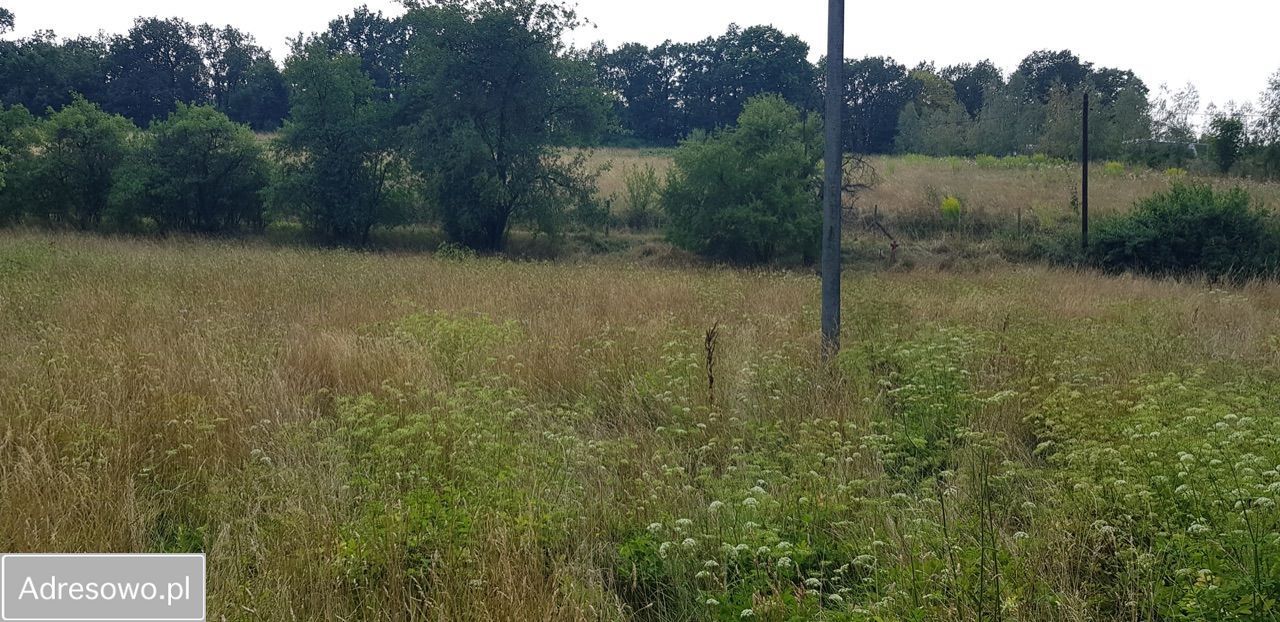 Działka budowlana Świny. Zdjęcie 8
