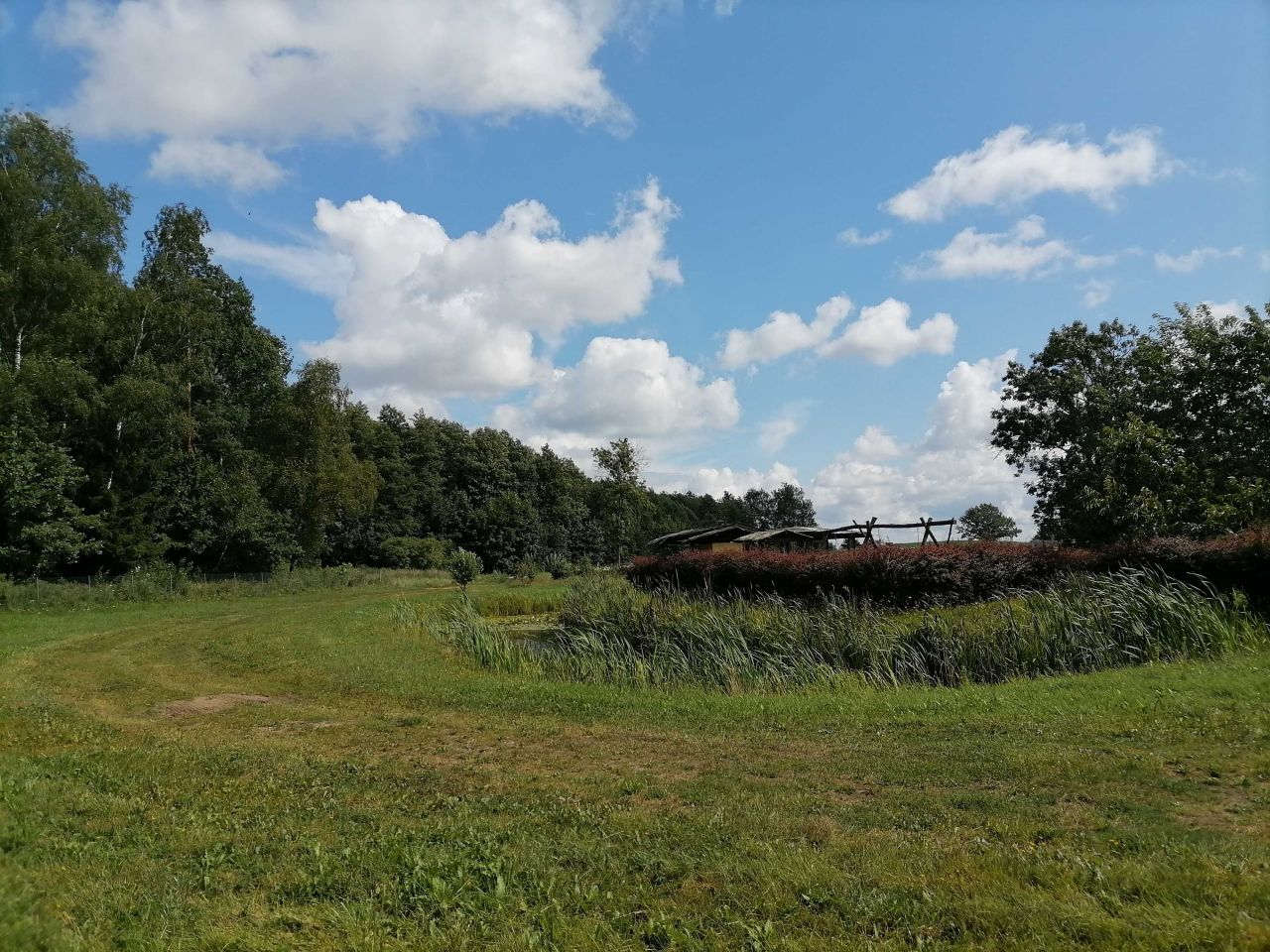 Działka rolna Blanki. Zdjęcie 8