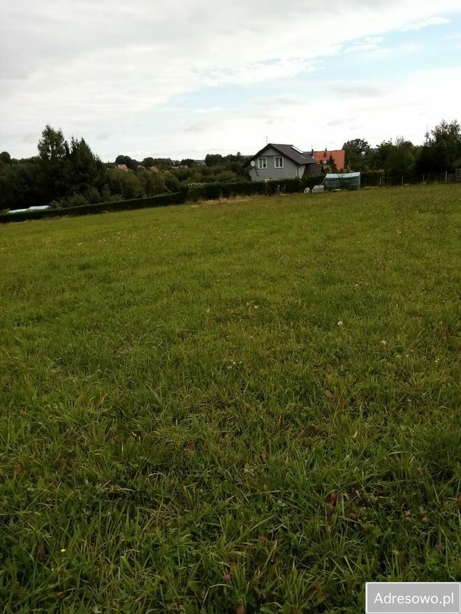 Działka rolna Wieża. Zdjęcie 3