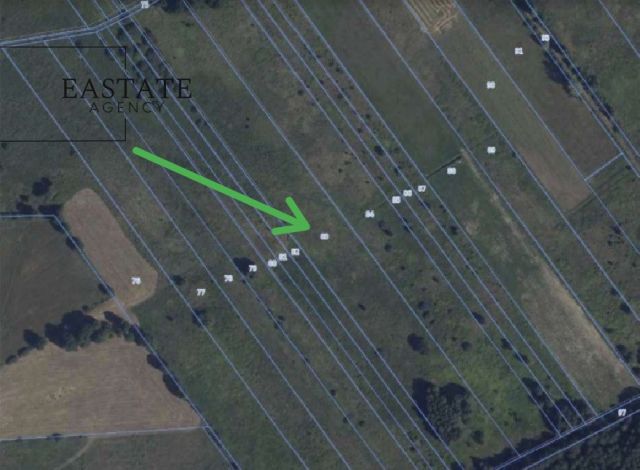 Działka rolna Cegielnia. Zdjęcie 7