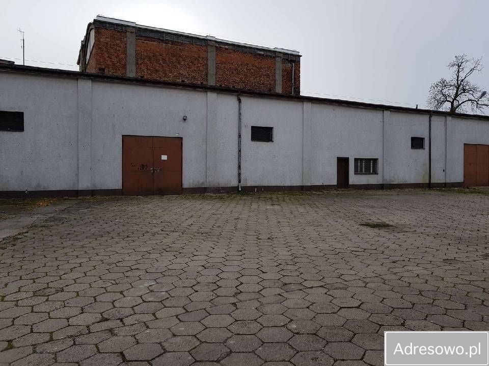 Hala/magazyn Białogard. Zdjęcie 6