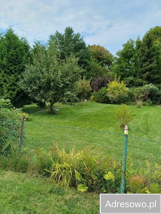 Działka rod Gdynia Cisowa, ul. Hutnicza. Zdjęcie 4