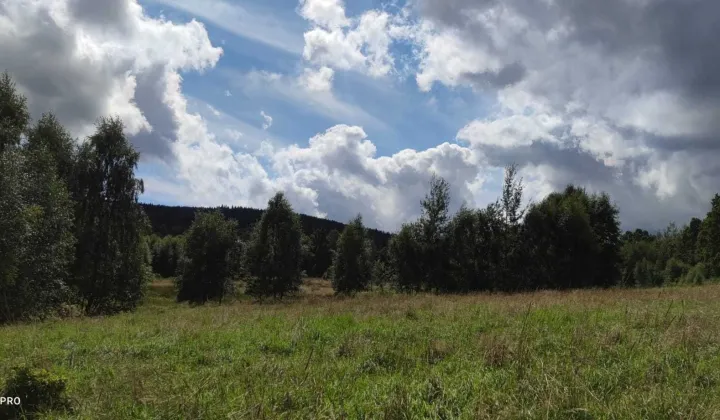 Działka rolna Kromnów