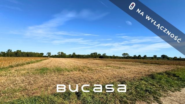 Działka rolna Wola Przemykowska. Zdjęcie 4