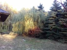 dom wolnostojący, 5 pokoi Dąbrówka-Strumiany, ul. Sosnowa. Zdjęcie 4