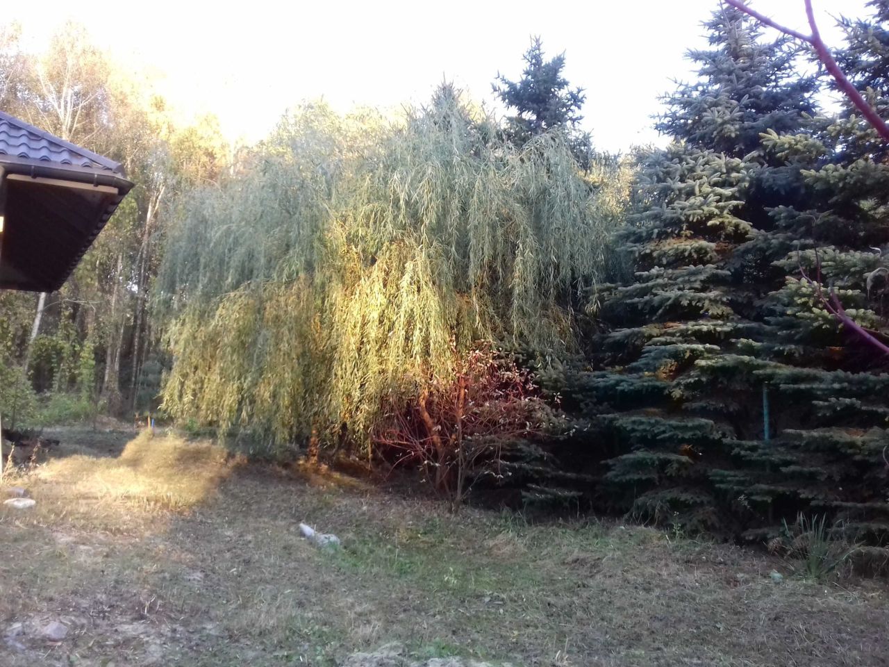 dom wolnostojący, 8 pokoi Dąbrówka-Strumiany, ul. Sosnowa. Zdjęcie 6