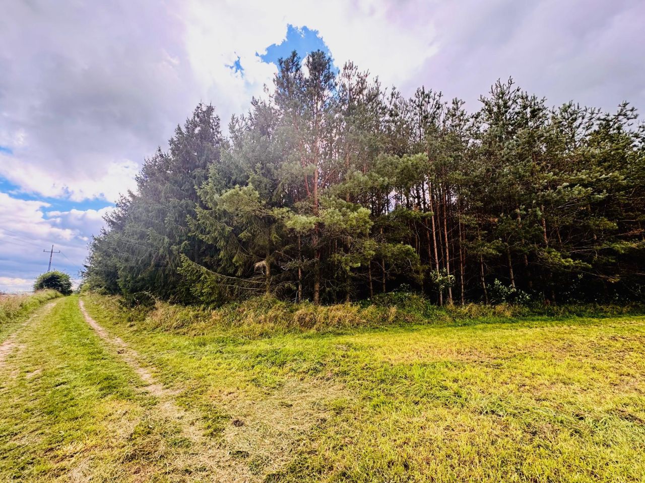 Działka siedliskowa Drygały, ul. Polna. Zdjęcie 8