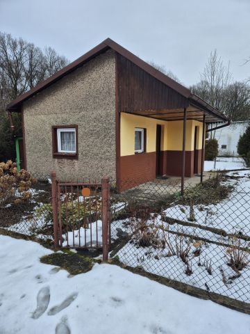 Działka rod Mikołów Centrum. Zdjęcie 1