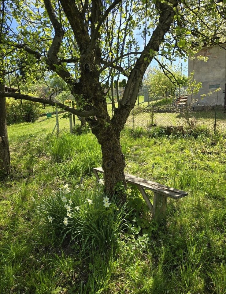 Działka rod Bielsko-Biała Lipnik, ul. Krakowska. Zdjęcie 2