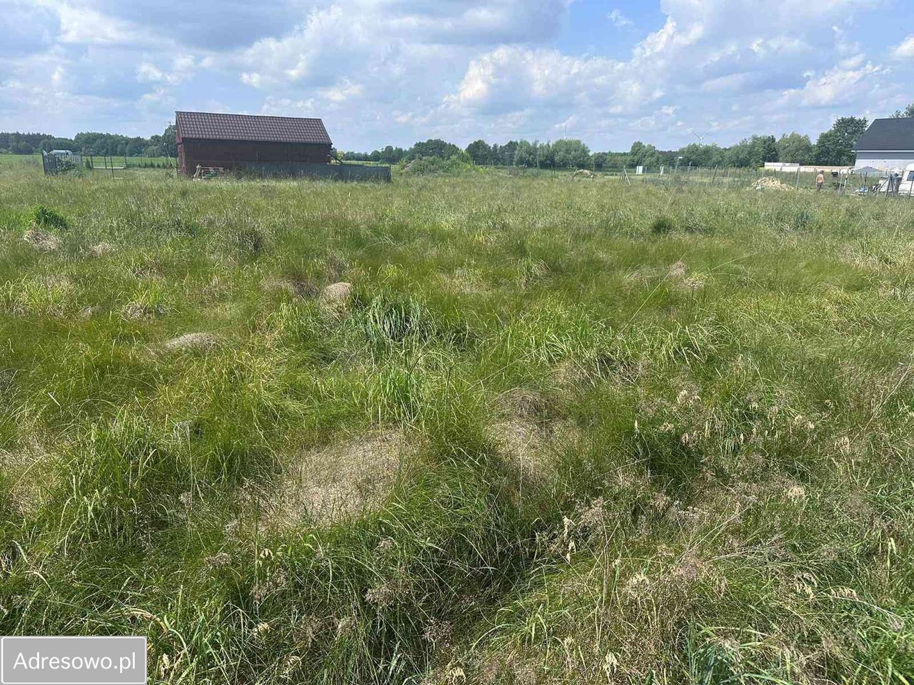 Działka budowlana Murzynowo Leśne, ul. Brodowska. Zdjęcie 5