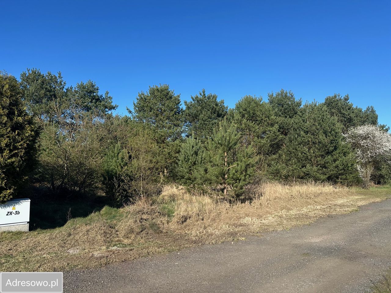 Działka budowlana Sowno. Zdjęcie 1