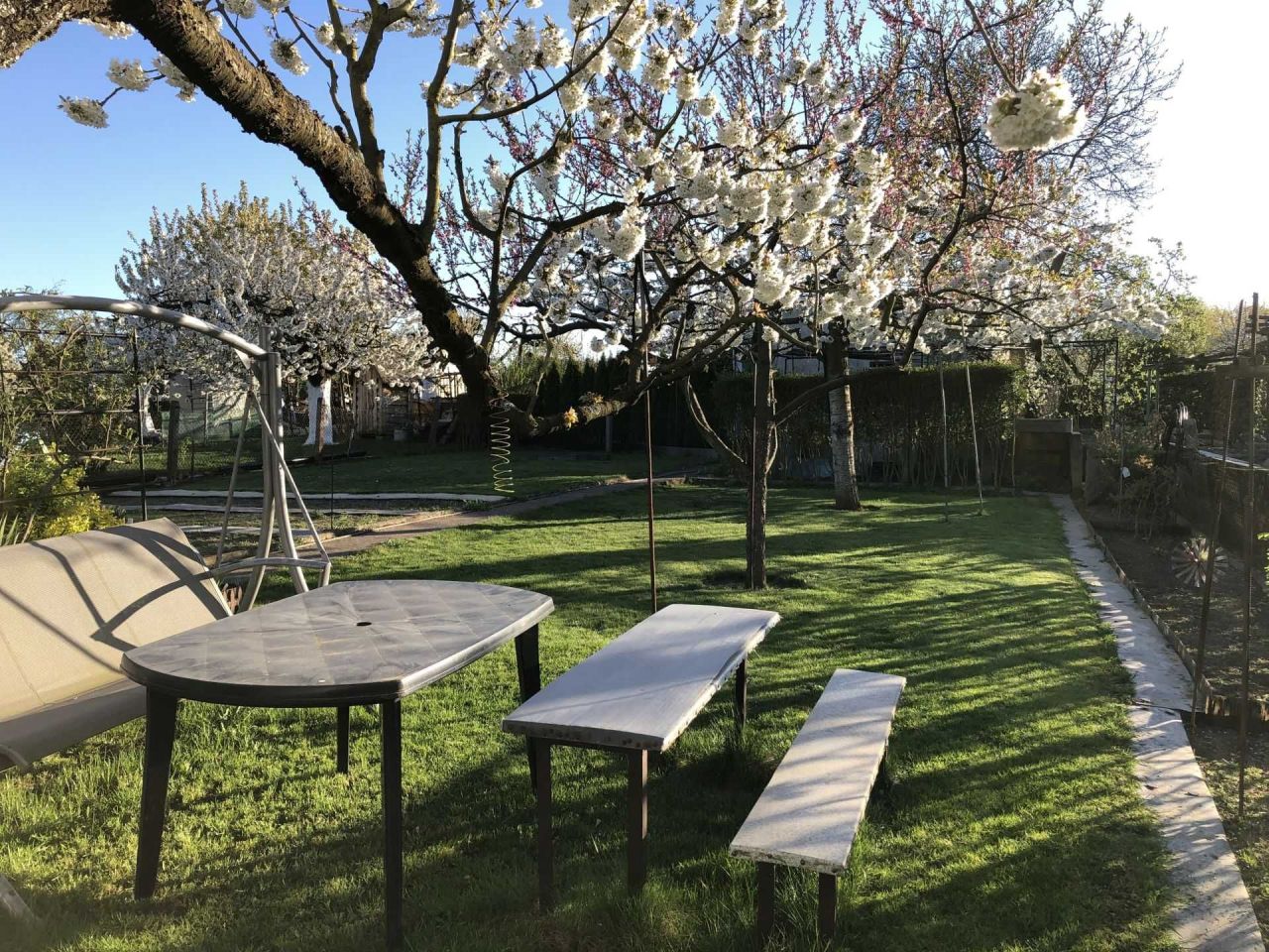 Działka rod Szczecin Bukowe, ul. Bogumińska. Zdjęcie 5