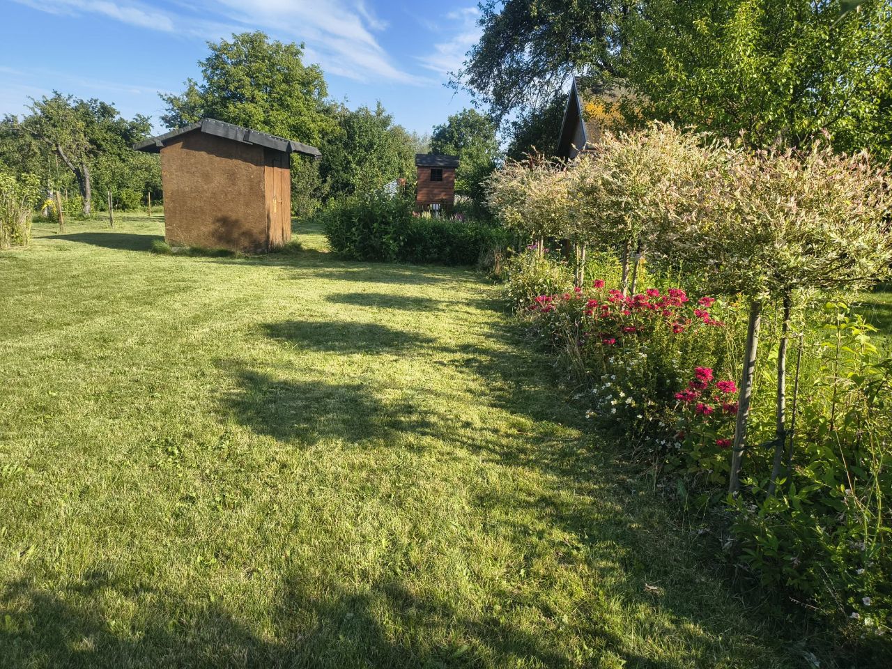 Działka rod Gdańsk Olszynka, ul. Olsztyńska. Zdjęcie 3