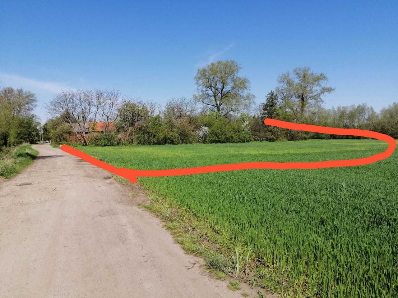 gospodarstwo Czernina Dolna. Zdjęcie 5