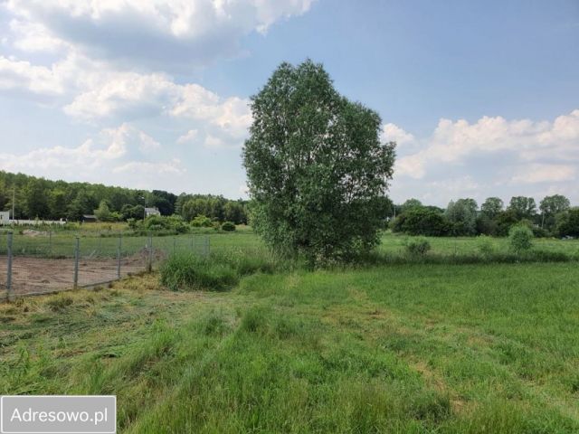 Działka budowlana Mościenica, os. Brzozowe. Zdjęcie 1